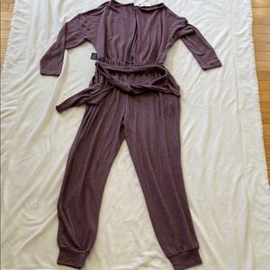 Express Mauve Long Sleeve Jumpsuit